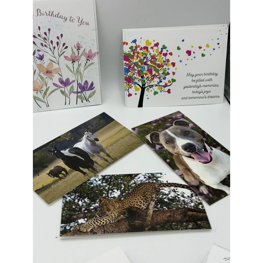 Lot 15+ Greeting Cards+Envelopes Birthday/Sympathy/Thinking of You/Holiday+More